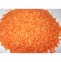 Masoor Dal